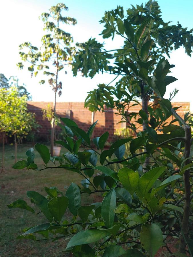La Casona alegre de toto, con mucho verde y estacionamiento. Puerto Iguazú Exterior foto